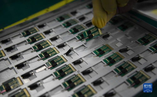 強信心 開新局 靠譜服務 技術推銷 標準開路 一家光通信企業的 出海秘籍